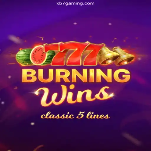 Exploring the Thrills and Features of BurningWins